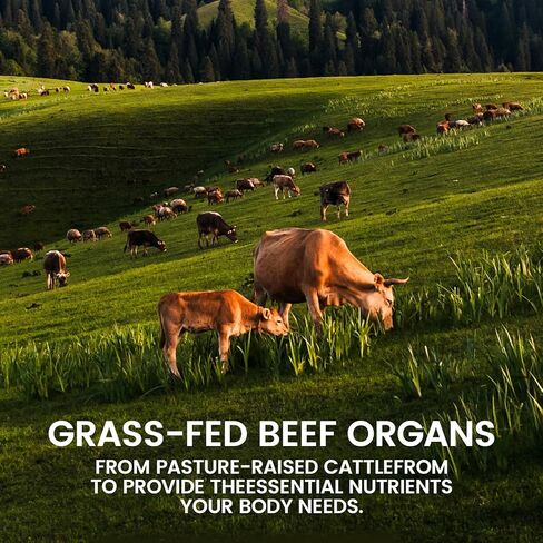 Forgebody Beef Organ Complex Supplement, 120 Capsules Grass Fed Beef Liver Capsules, Immune Support, Gluten Free, Non-GMO (1) in Saudi Arabia