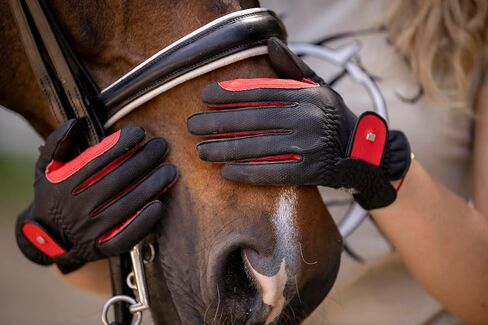 قفازات مالطا روكيل - أسود/موكا in Kuwait