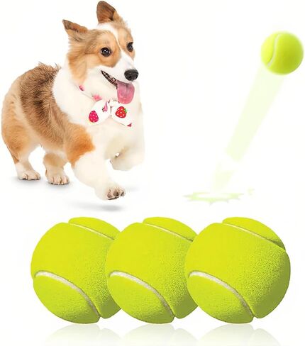 3 Pack Tennis Balls,High Elasticity Practice Tennis for Beginner,Training Balls in Saudi Arabia