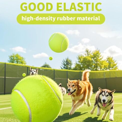 3 Pack Tennis Balls,High Elasticity Practice Tennis for Beginner,Training Balls in Saudi Arabia