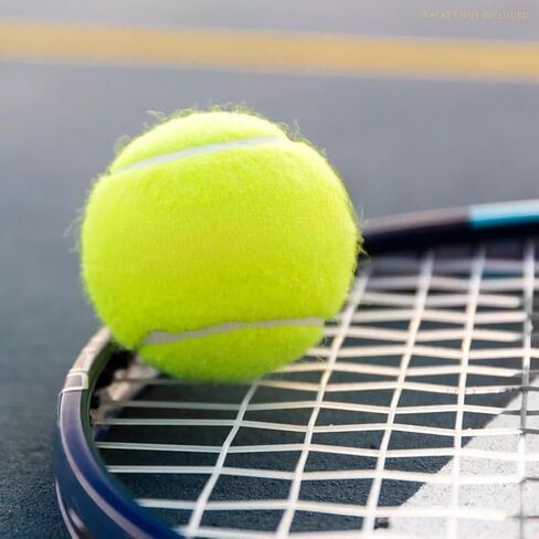 3 Pack Tennis Balls,High Elasticity Practice Tennis for Beginner,Training Balls in Saudi Arabia