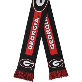 FOCO NCAA Big Logo Scarf