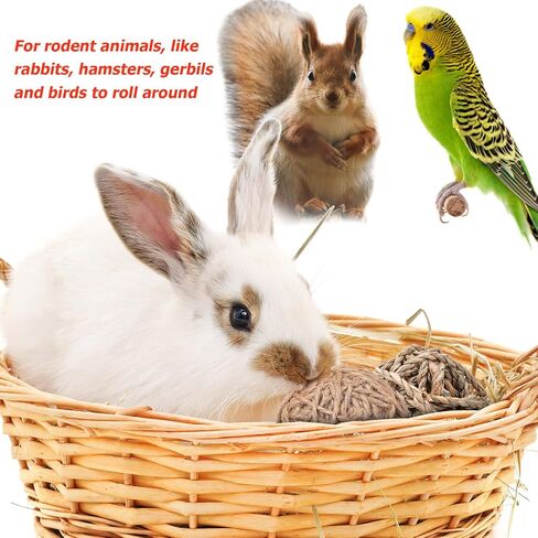 Ipetboom Small Animal Chew Ball, 8pcs Rabbit Chew Toys for Teeth Small Animal Rolling Ball Hamster Chewing Balls in Saudi Arabia