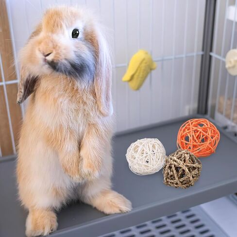 Ipetboom Small Animal Chew Ball, 8pcs Rabbit Chew Toys for Teeth Small Animal Rolling Ball Hamster Chewing Balls in Saudi Arabia