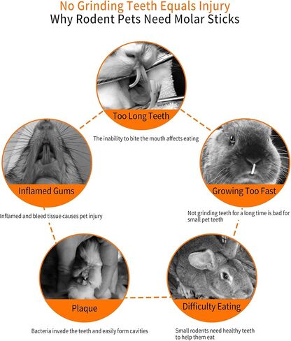 300 جرام من عصي التفاح، حلوى المولي، ألعاب الأرانب، ألعاب خنزير غينيا، ألعاب الأرنب، ألعاب المضغ الخشبية الطبيعية للأسنان، حلوى الأرانب، شينشيلا، الفئران، الهامستر، الجربوع، أعواد لعبة، وجبات خفيفة للحيوانات الأليفة in Kuwait