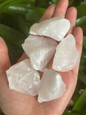 GAF TREASURES 1/2 LB Raw Amethyst Crystals, Natural Amethyst Stone, Natural Rough Amethyst Crystals, Amethyst Rough, Amethyst Healing Crystals (Amethyst) in Saudi Arabia