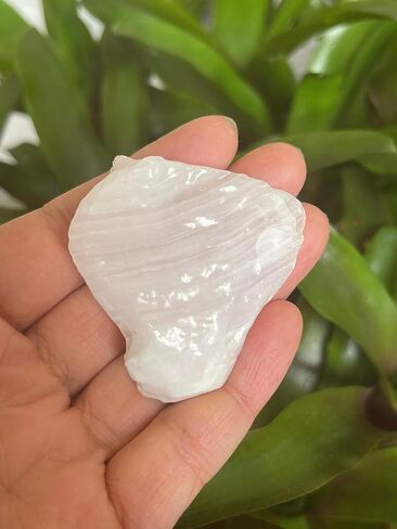 GAF TREASURES 1/2 LB Raw Amethyst Crystals, Natural Amethyst Stone, Natural Rough Amethyst Crystals, Amethyst Rough, Amethyst Healing Crystals (Amethyst) in Saudi Arabia