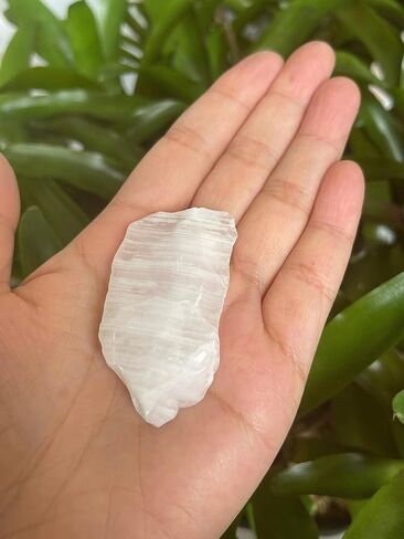 GAF TREASURES 1/2 LB Raw Amethyst Crystals, Natural Amethyst Stone, Natural Rough Amethyst Crystals, Amethyst Rough, Amethyst Healing Crystals (Amethyst) in Saudi Arabia
