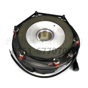 BN20-180-50 Loss of Power electromagnetic Brake REB0420B (180V50) DC180V 100W 260NM in Saudi Arabia