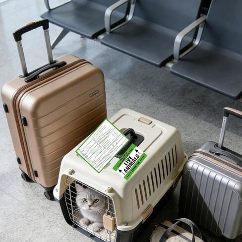 50 Pcs Live Animals Please Handle with Care Stickers Live Animal Stickers for Airline Cargo Crates - Live Animal Labels with Arrow Fragile Stickers for Travel,Dog Kennel,Cats,Pets Carriers in Saudi Arabia