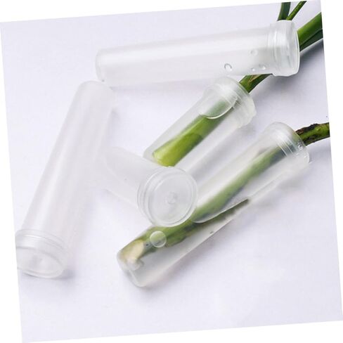BESPORTBLE 100pcs Transparent Plastic Flower Water Tubes for Fresh Flower Arrangement Cultivation Vials for Home Decor and Florist Supplies in Saudi Arabia