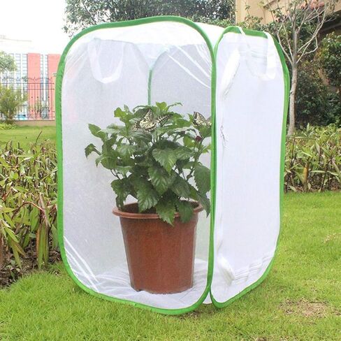 AYNEFY Foldable Cage Collapsible Mesh Cage Portable House with Wide Zipper Opening Transparent Panels for Observation Storage in Saudi Arabia
