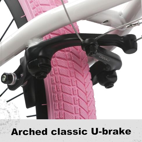 20 24 Inch Beginner BMX Bike Echo, High Tensile Steel Frame, Rear U-Brake, 4 Pegs, 85% Pre-Assembled, Unisex BMX Bicycle for Outdoor Riding in Kuwait