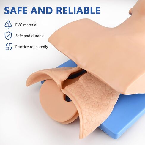 KAS-5S Manikin Teaching Model, Management Aid Trainer, Simulator with Electronic Monitor for Educational Practice and Learning in Kuwait