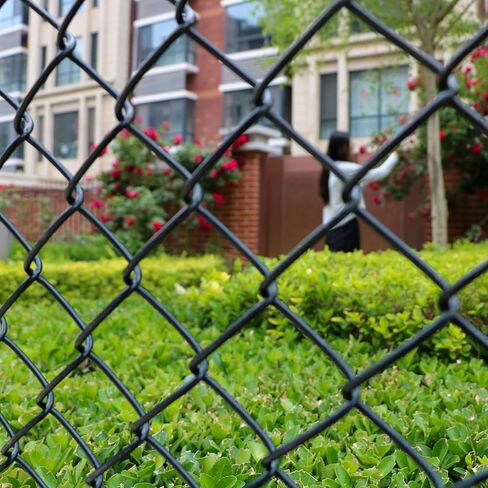 Heavy-Duty Galvanized Steel Chain Link Fence Fabric - 6x50 ft. | 7 AWG Wire | Black PVC Coated | Rust & Corrosion Resistant | Security-Grade Mesh for Residential & Commercial Use in Kuwait