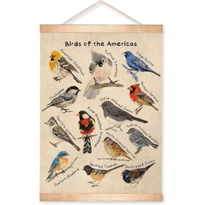 Vintage Butterfly and Moth Poster, 14x18.5 Inch Insects Identification Chart, Retro Butterfly and Moth Illustration Print, Nature Aesthetics Canvas Hanging for Classroom, Study,School Library Decor(Beige) in Kuwait