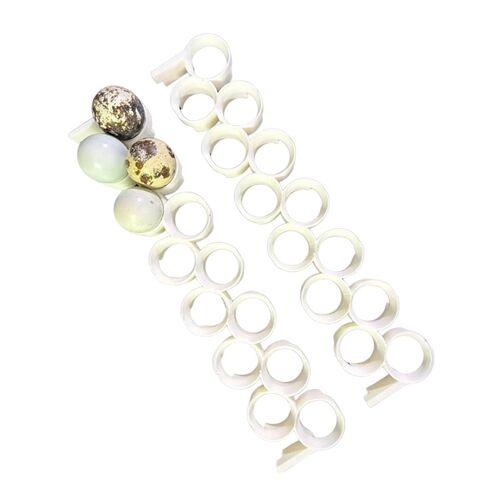 Jumbo Quail Egg Rails for Cimuka/Hatching Time, Rigid Polymer, White, for CT-Series Incubators with Conturn Turners (2) in Saudi Arabia