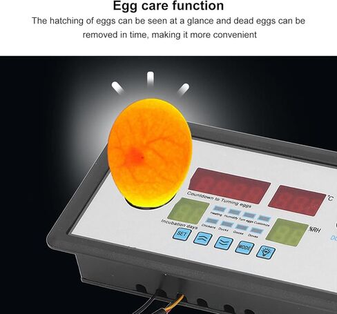 Intelligent Egg Incubator Controller Thermostat, DC12V Digital Automatic Temperature & Humidity Control, with Egg Turning & Candling Light, for Hatching Chicken, Duck, Goose, Quail Eggs in Saudi Arabia