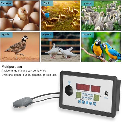 Intelligent Egg Incubator Controller Thermostat, DC12V Digital Automatic Temperature & Humidity Control, with Egg Turning & Candling Light, for Hatching Chicken, Duck, Goose, Quail Eggs in Saudi Arabia