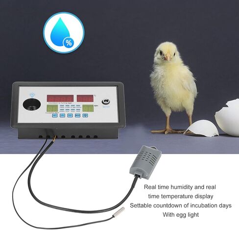 Intelligent Egg Incubator Controller Thermostat, DC12V Digital Automatic Temperature & Humidity Control, with Egg Turning & Candling Light, for Hatching Chicken, Duck, Goose, Quail Eggs in Saudi Arabia