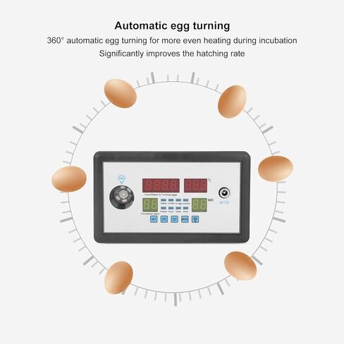Intelligent Egg Incubator Controller Thermostat, DC12V Digital Automatic Temperature & Humidity Control, with Egg Turning & Candling Light, for Hatching Chicken, Duck, Goose, Quail Eggs in Saudi Arabia