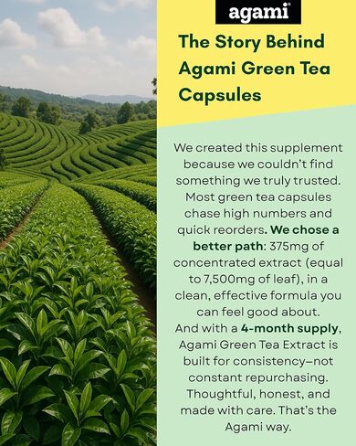 Agami Green Tea Capsules | 4 Month Supply | Energy & Metabolism Support | 20:1 Extract - 120 Capsules in Saudi Arabia