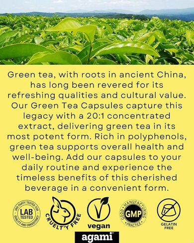 Agami Green Tea Capsules | 4 Month Supply | Energy & Metabolism Support | 20:1 Extract - 120 Capsules in Saudi Arabia