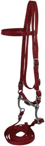 Pony Nylon Headstall w/Bit & Reins in Saudi Arabia