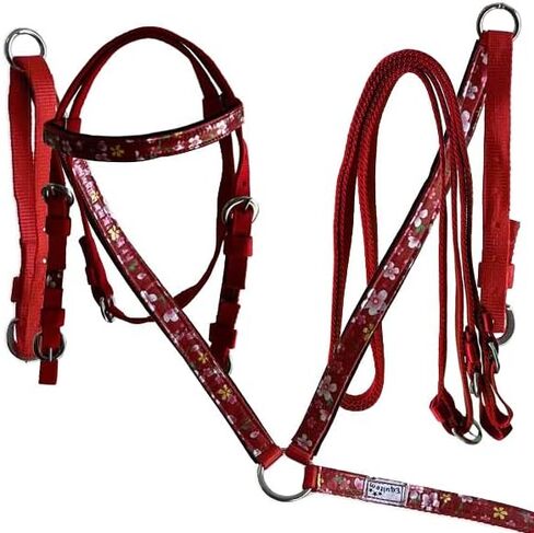المهر حجم النايلون Headstall ومجموعة طوق الثدي مع لهجة الشريط زهرة in Kuwait