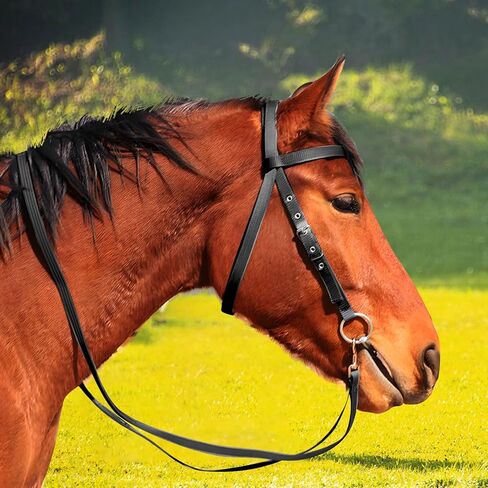Varku Horse Bridle, Large Size, Black Nylon, Adjustable Headstall, Long-Lasting Heavy Duty Double Buckle, Comfortable Fit, Secure Stitching, Tool-Free Bit Change for Horses Over 4.27 Feet Tall in Kuwait