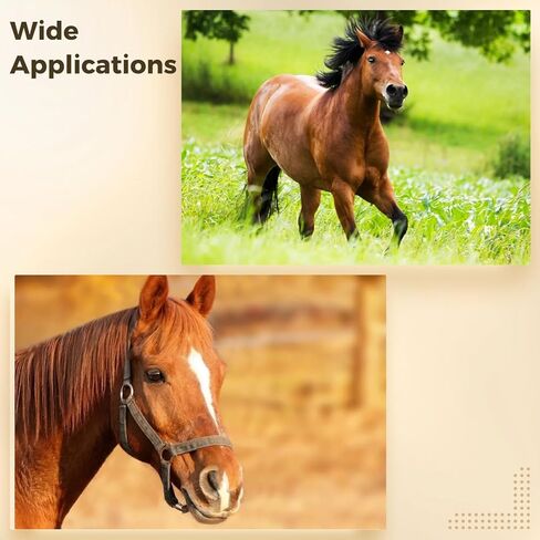 Varku Horse Bridle, Large Size, Black Nylon, Adjustable Headstall, Long-Lasting Heavy Duty Double Buckle, Comfortable Fit, Secure Stitching, Tool-Free Bit Change for Horses Over 4.27 Feet Tall in Kuwait