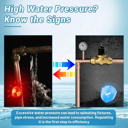 صمام تخفيض الضغط 1-1/4 بوصة 114-NR3XL، مع وصلة NPT لأنبوب لولبة داخلي مزدوج، مناسب لصمامات تقليل الضغط NR3XLDULU مقاس 1-1/4 بوصة، ويأتي مع شاشة من الفولاذ المقاوم للصدأ وحشيتين in Kuwait