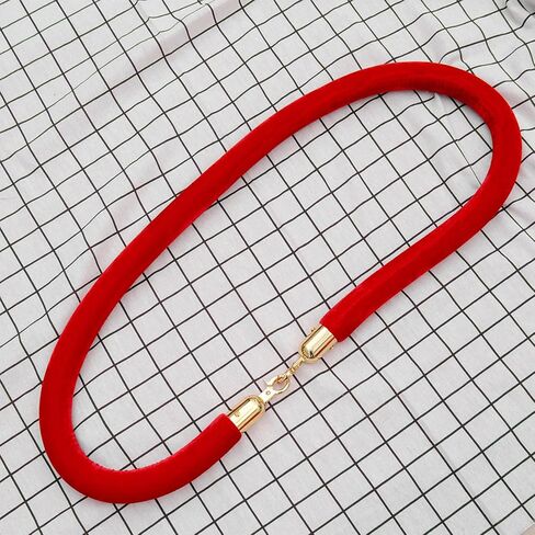 Didiseaon Rope End Stopper Cord End Cap with Titanium Snap Hook, Stainless Steel Rope Hook for Guardrail and Event Barrier, Small Size Cord Lock for Decking and Crowd Control in Saudi Arabia
