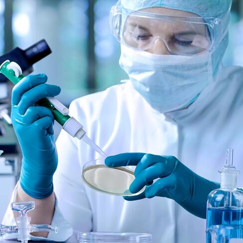 أطباق أجار غذائية 2.75 بوصة أطباق بيتري مصبوبة مسبقًا لعلم الأحياء الدقيقة المختبري ومستلزمات التجارب العلمية 20 حزمة in Kuwait