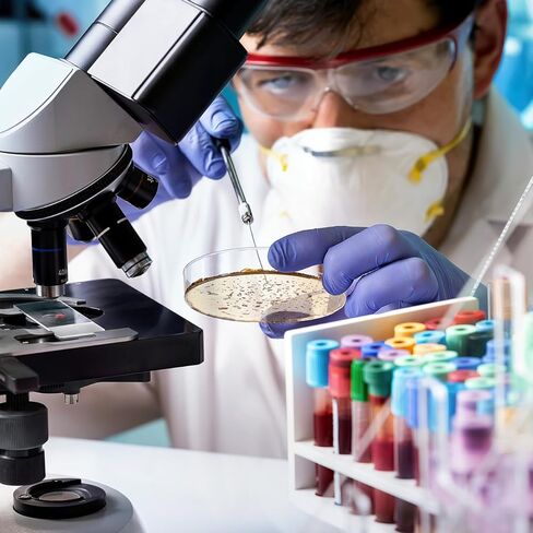 10 عبوات من أطباق أجار المغذيات المصبوبة مسبقًا من DOITOOL مقاس 2.75 بوصة مع طبقة أجار سميكة للتجارب العلمية ومستلزمات المختبرات للطلاب in Kuwait