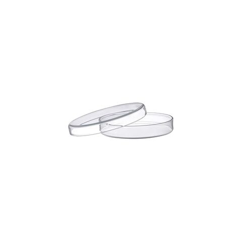 Petri Dish, 3" (80mm) - Beaded Edges - Easy to Sterilize for Repeated Use - Soda Glass - Eisco Labs in Saudi Arabia