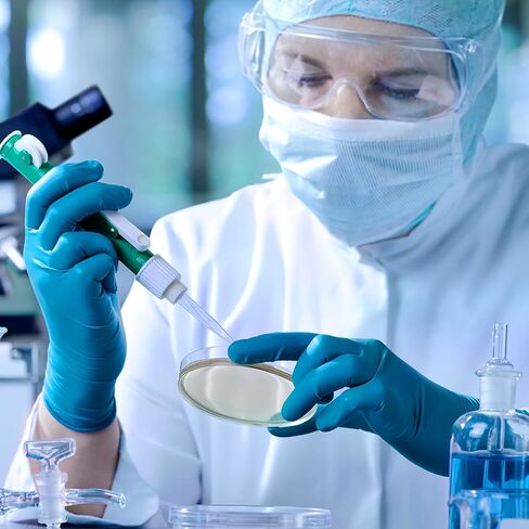 20 قطعة من أطباق أجار مسبقة الصنع من DOITOOL لتجارب العلوم المخبرية ومشاريع المعارض المدرسية in Kuwait