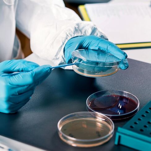 20 قطعة من أطباق أجار مسبقة الصنع من DOITOOL لتجارب العلوم المخبرية ومشاريع المعارض المدرسية in Kuwait