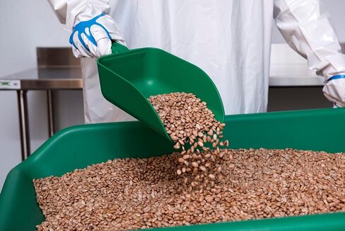 Remco 650066 Scoop,82 oz.,PP,Brown in Saudi Arabia