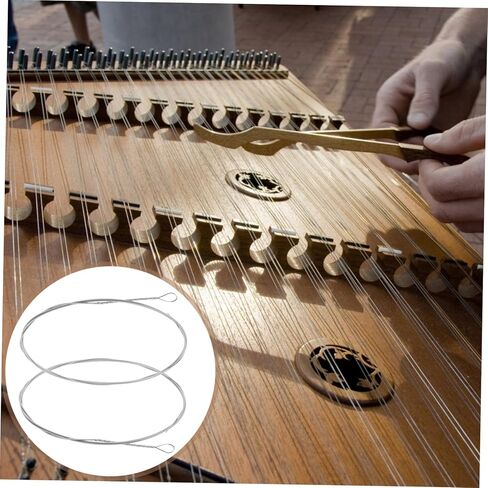 Totority 2Pcs Steel Dulcimer Strings Replacement Instrument Strings with Crisp Sound for Dulcimer Players and Musicians Easy to Install Stable Quality in Saudi Arabia