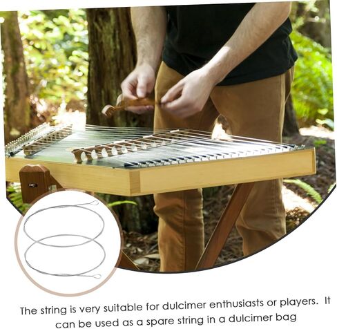 Totority 2Pcs Steel Dulcimer Strings Replacement Instrument Strings with Crisp Sound for Dulcimer Players and Musicians Easy to Install Stable Quality in Saudi Arabia