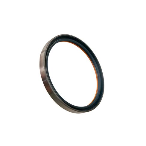 Oil Seal 165×190×17 in Saudi Arabia
