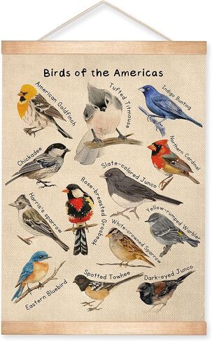 Vintage Butterfly and Moth Poster, 14x18.5 Inch Insects Identification Chart, Retro Butterfly and Moth Illustration Print, Nature Aesthetics Canvas Hanging for Classroom, Study,School Library Decor(Beige) in Kuwait