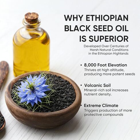 Ethiopian Black Seed Oil Capsules 4.64% Thymoquinone – Purely Nutrient Organic Cold Pressed Black Cumin Seed Oil Softgels, Non-GMO, Gluten-Free, 60 Softgels in Saudi Arabia