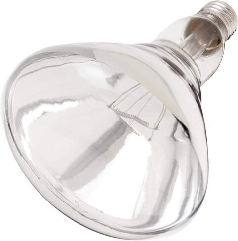 Satco S7012 Medium Bulb in Light Finish, 7.63 inches, Clear Heat in Saudi Arabia