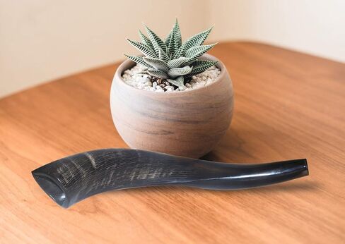 Holy Voice Kosher Kudu Shofar Horn from Israel – Traditional Half-Polished Yemenite Shofar Includes Carrying Bag, Brush and Blowing Guide - Easy Blowing Ancient Musical Instrument (12"-16") in Kuwait