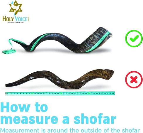Holy Voice Kosher Kudu Shofar Horn from Israel – Traditional Half-Polished Yemenite Shofar Includes Carrying Bag, Brush and Blowing Guide - Easy Blowing Ancient Musical Instrument (12"-16") in Kuwait