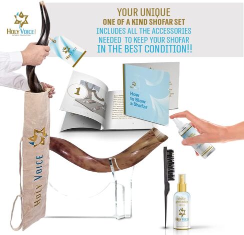 Holy Voice Kosher Kudu Shofar Horn from Israel – Traditional Half-Polished Yemenite Shofar Includes Carrying Bag, Brush and Blowing Guide - Easy Blowing Ancient Musical Instrument (12"-16") in Kuwait