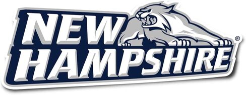 Desert Cactus University of New Hampshire Sticker UNH Wildcats Vinyl Decal Laptop Water Bottle Car Scrapbook (IND 006) in Kuwait