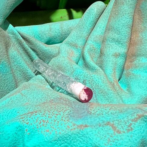 Cr(VI) Hexavalent Chromium Testing Swabs, Pack of 10 in Kuwait